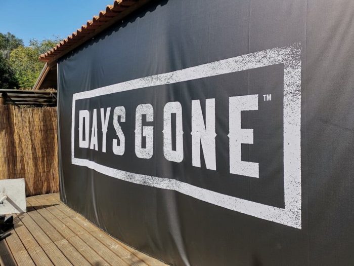 Days Gone