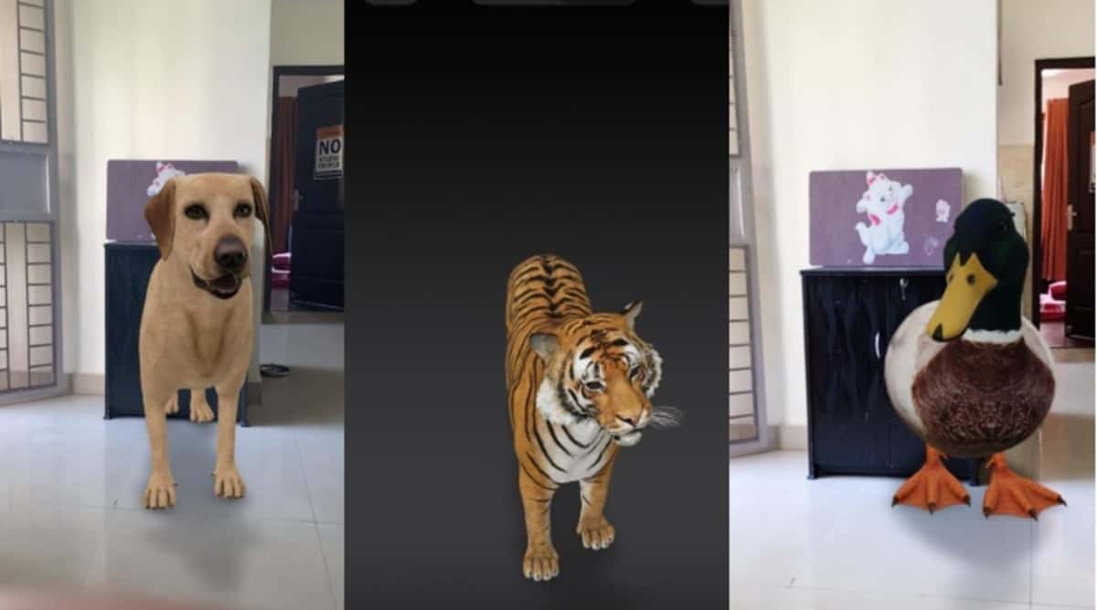 Animales 3D de Google: cómo usarlos para meter un tigre, un