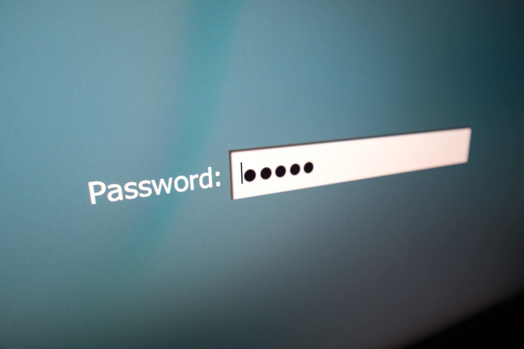 passwords no browser