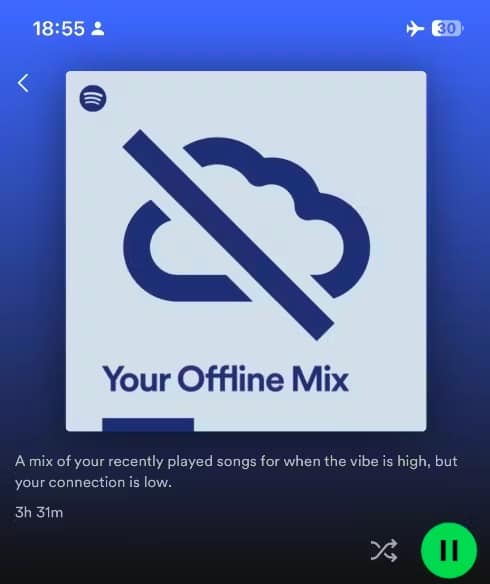 Spotify offline