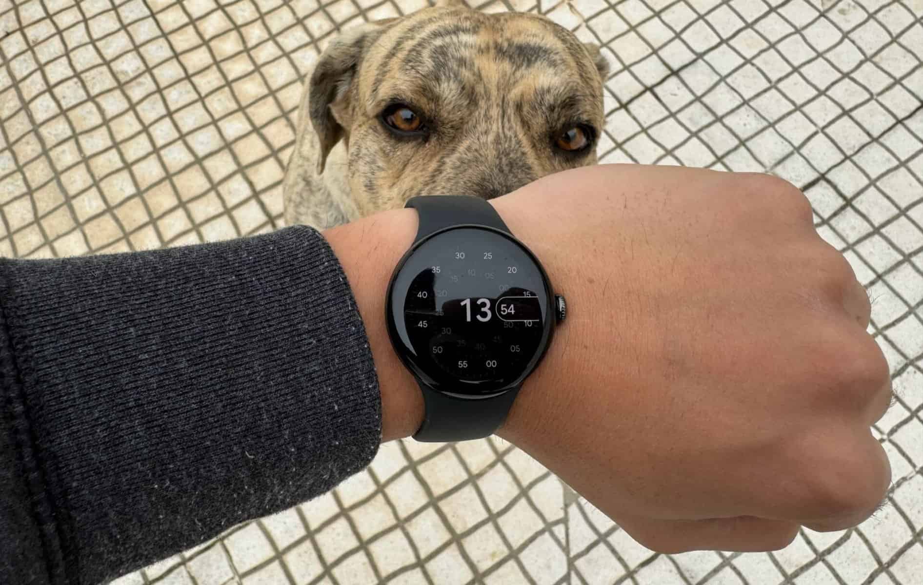 Pixel Watch 2