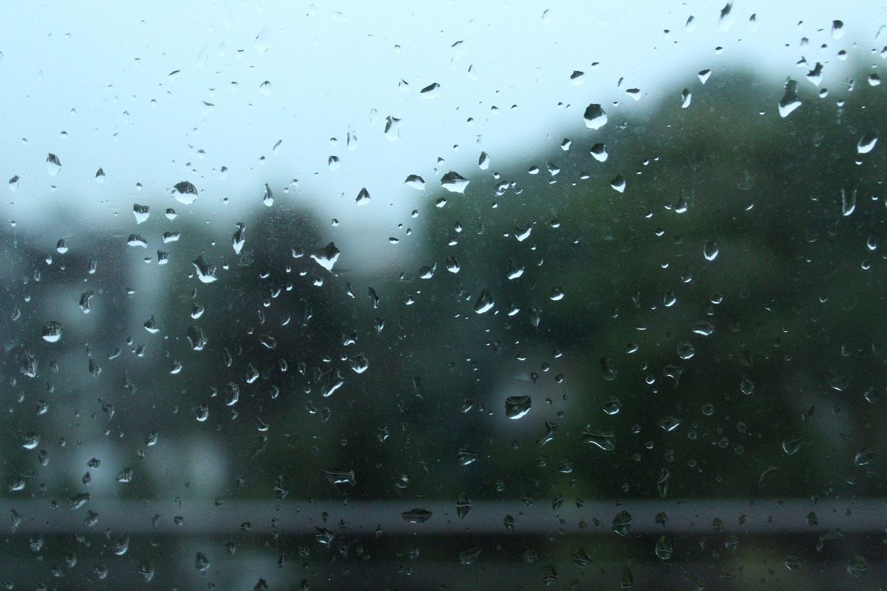 chuva chamadas, veículo elétrico inundação