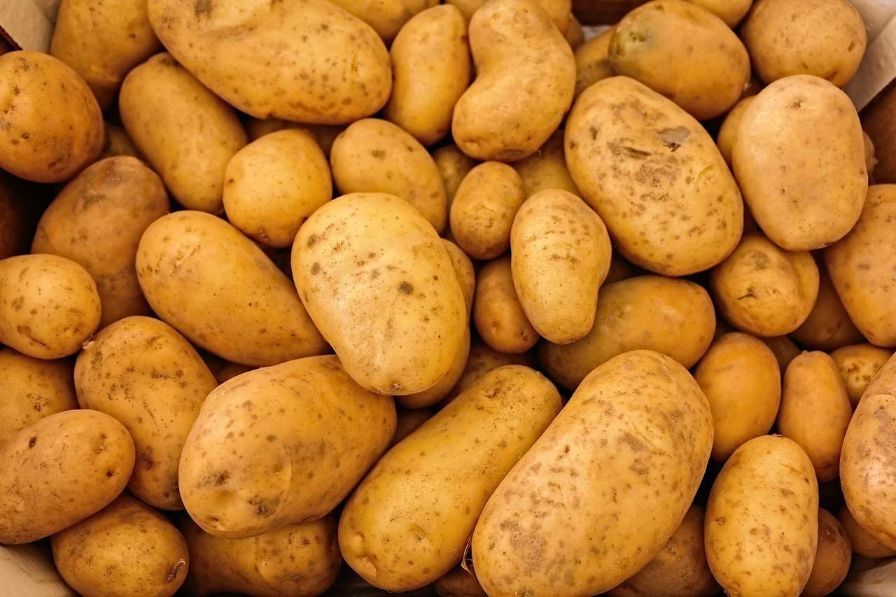 esfregar batatas no automóvel