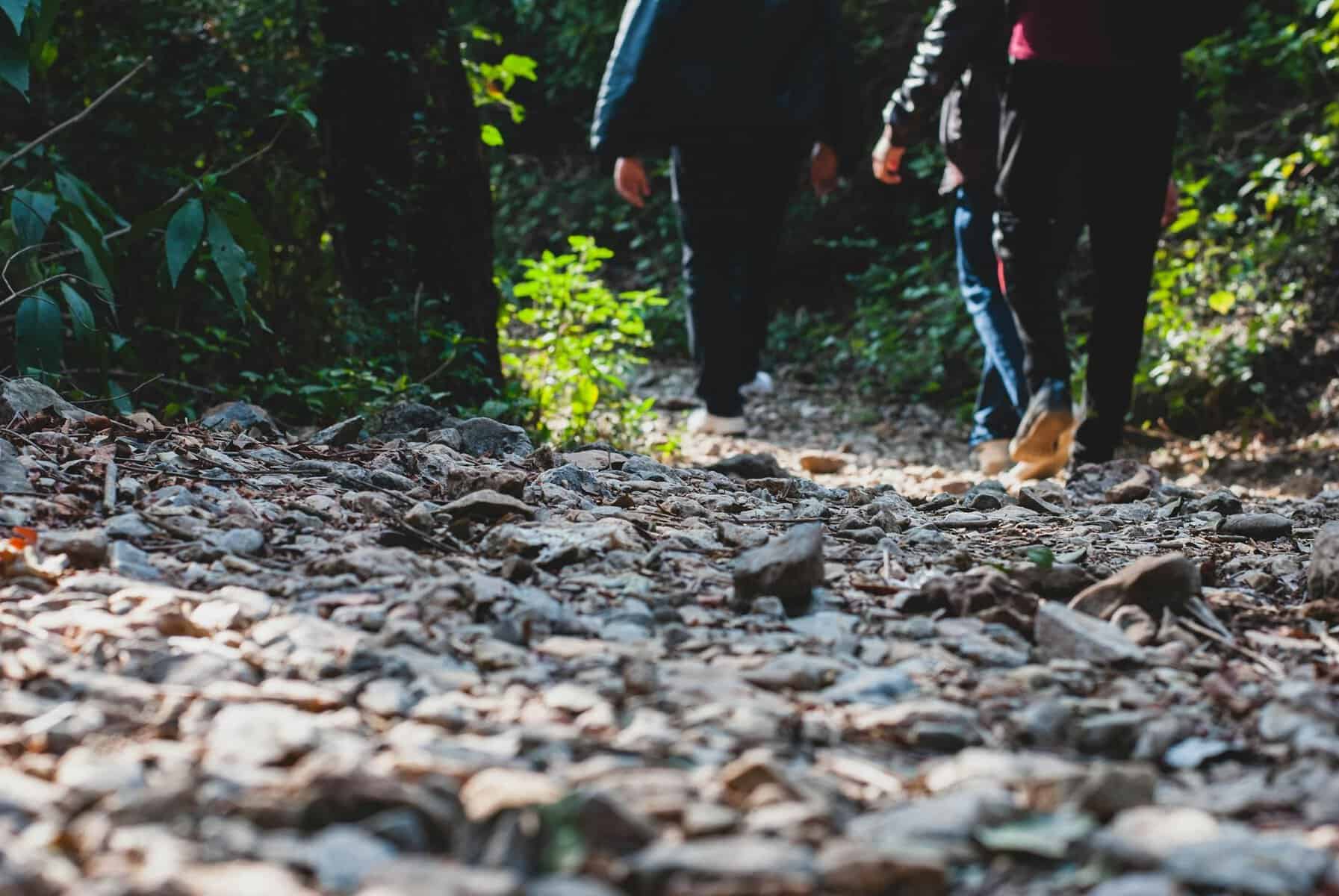 caminhar todos os dias é mesmo importante para a saúde?