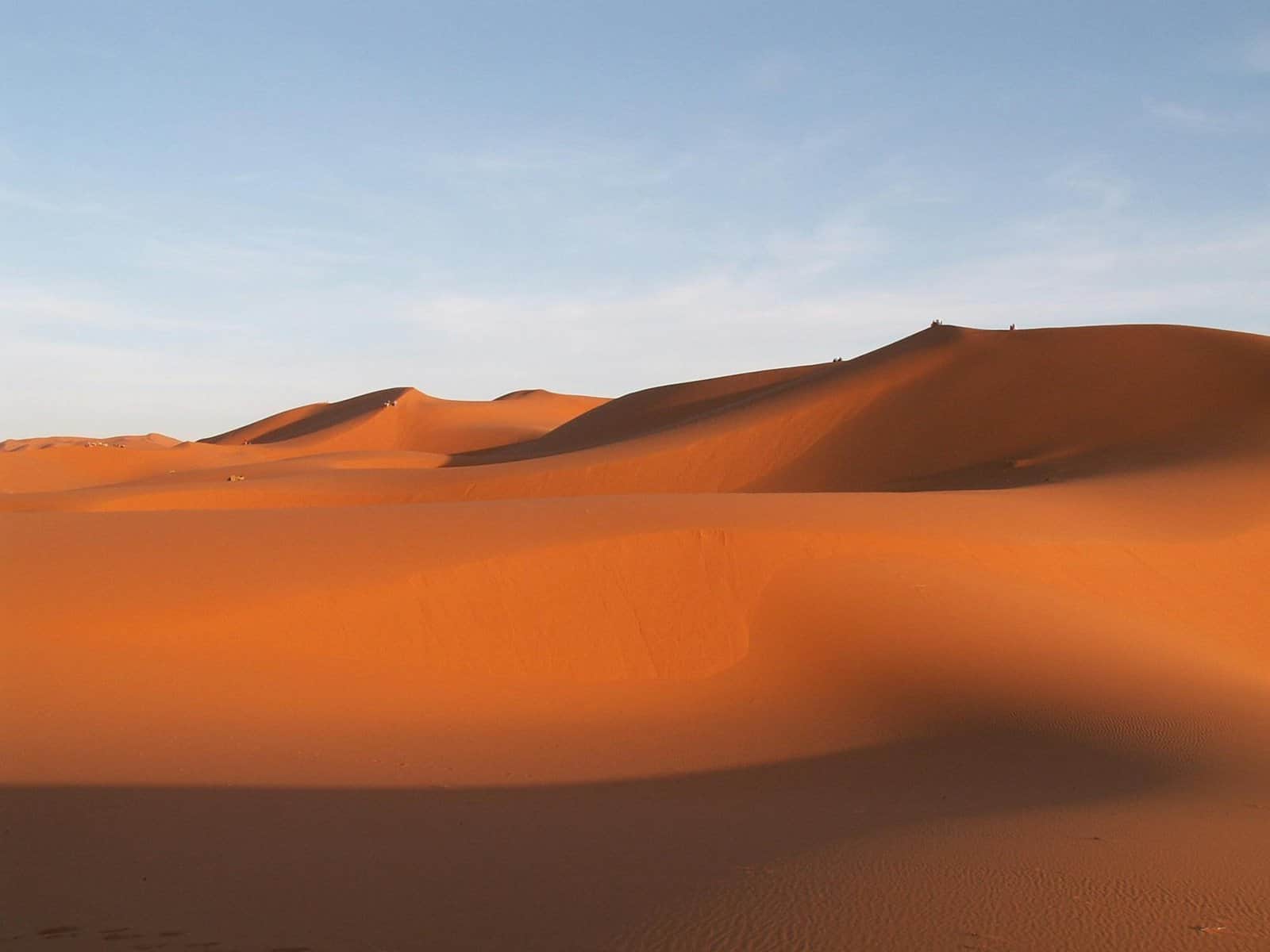 em breve todos podemos estar em risco devido ao calor extremo!